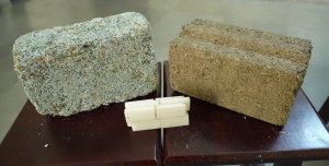 IIT Jodhpur's Bio-Bricks Transform Farm Waste and Plastics into Eco-Friendly Building Revolution