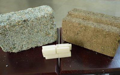 IIT Jodhpur's Bio-Bricks Transform Farm Waste and Plastics into Eco-Friendly Building Revolution