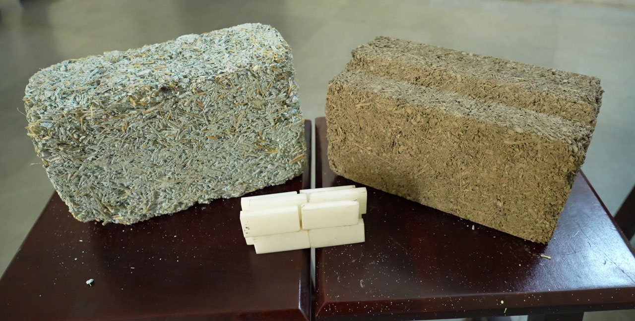 IIT Jodhpur's Bio-Bricks Transform Farm Waste and Plastics into Eco-Friendly Building Revolution