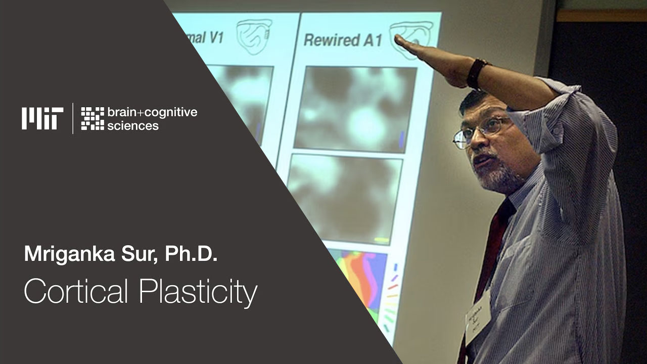 IIT Kanpur Alum Mriganka Sur called Newton of brain science at MIT