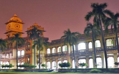 IIT BHU's Fungal Breakthrough: Removing Toxic Heavy Metals from Wastewater