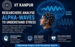 IIT-Kanpur researchers study alpha wave brain activity to decode stress impact on cognition