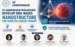 IIT Gandhinagar Scientists Develop Smart DNA Nanostructure for Precision Cancer Treatment