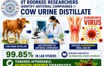 IIT Roorkee Scientists identify Antiviral Compounds in Ayurvedic Cow Urine Distillate