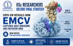 IISc Scientists Decode How EMCV Hijacks Host Protein Machinery
