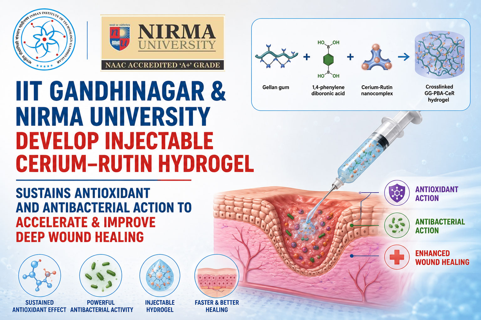 IIT Gandhinagar and Nirma University develop an injectable cerium–rutin hydrogel